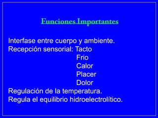 Interfase entre cuerpo y ambiente.
Recepción sensorial: Tacto
                       Frio
                       Calor
                       Placer
                       Dolor
Regulación de la temperatura.
Regula el equilibrio hidroelectrolítico.
 
