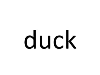 duck 