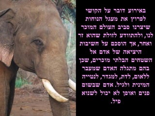 באירוע דובר על הקושי לפרוץ את מעגל הנוחות שיצרנו סביב העולם המוכר לנו ,  ולהתוודע לזולת שהוא זר ואחר ,  אך הוסכם על חשיבות היציאה של אדם אל השטחים הבלתי מוכרים ,  שכן בהם מתגלה האדם שמעבר ללאום ,  לדת ,  למגדר ,  לנטייה המינית ולגיל .  אדם שבשום פנים ואופן לא יכול לשנוא פיל . 