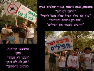 בהפגנה ,  שבה נישאו בגאון שלטים כגון :  &quot; חלאס לפילים &quot;  &quot; עוד לא נולד הפיל שלא נוכל להפיל &quot; &quot; הם רק נראים נחמדים &quot; &quot; חייבים לעצור את הפילים &quot; הושמעו קריאות כגון &quot; דמבו לא חמוד &quot;  &quot; לא ,  לא ,  לא ניתן  לפילים להתחתן &quot; 