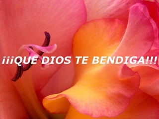 ¡¡¡QUE DIOS TE BENDIGA!!! 