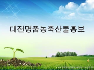 대전명품농축산물홍보 ( 사 ) 한국농업경영인대전광역시연합회 