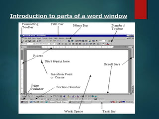Introduction to parts of a word window
 