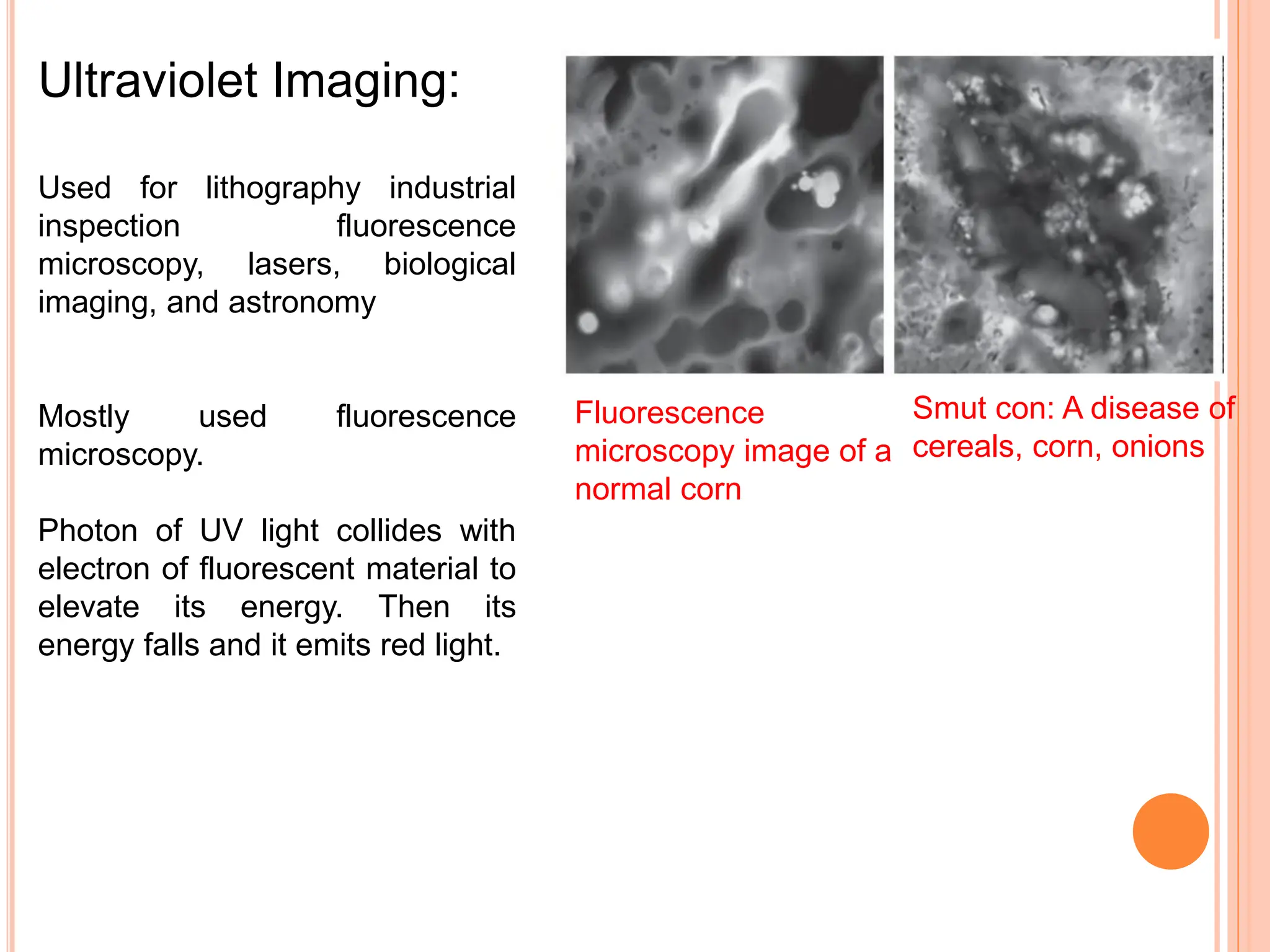 Ultraviolet Imaging:
Used for lithography industrial
inspection fluorescence
microscopy, lasers, biological
imaging, and astronomy
Mostly used fluorescence
microscopy.
Photon of UV light collides with
electron of fluorescent material to
elevate its energy. Then its
energy falls and it emits red light.
Fluorescence
microscopy image of a
normal corn
Smut con: A disease of
cereals, corn, onions
 