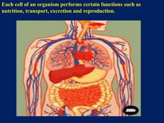 Each cell of an organism performs certain functions such as
nutrition, transport, excretion and reproduction.
 