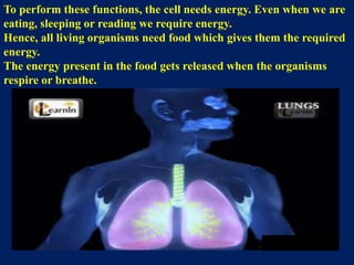 To perform these functions, the cell needs energy. Even when we are
eating, sleeping or reading we require energy.
Hence, all living organisms need food which gives them the required
energy.
The energy present in the food gets released when the organisms
respire or breathe.
 