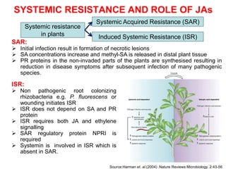 SYSTEMIC RESISTANCE AND ROLE OF JAs
                                Systemic Acquired Resistance (SAR)
   Systemic resistance
        in plants                Induced Systemic Resistance (ISR)
SAR:
 Initial infection result in formation of necrotic lesions
 SA concentrations increase and methyl-SA is released in distal plant tissue
 PR proteins in the non-invaded parts of the plants are synthesised resulting in
  reduction in disease symptoms after subsequent infection of many pathogenic
  species.

ISR:
 Non pathogenic root colonizing
  rhizobacteria e.g. P. fluorescens or
  wounding initiates ISR
 ISR does not depend on SA and PR
  protein
 ISR requires both JA and ethylene
  signalling
 SAR regulatory protein NPRI is
  required
 Systemin is involved in ISR which is
  absent in SAR.

                                     Source:Harman et. al.(2004) .Nature Reviews Microbiology. 2:43-56
 