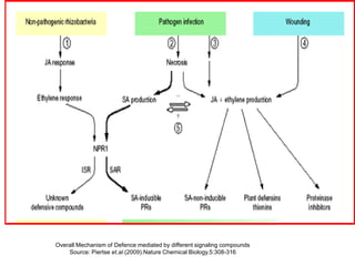 Overall Mechanism of Defence mediated by different signaling compounds
    Source: Piertse et.al.(2009).Nature Chemical Biology.5:308-316
 