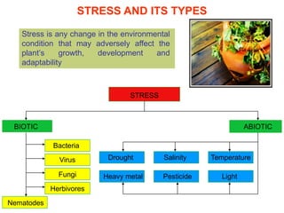 STRESS AND ITS TYPES

   Stress is any change in the environmental
   condition that may adversely affect the
   plant’s    growth,   development     and
   adaptability



                                 STRESS



 BIOTIC                                                          ABIOTIC

            Bacteria

              Virus        Drought        Salinity    Temperature

              Fungi       Heavy metal     Pesticide      Light
            Herbivores

Nematodes
 