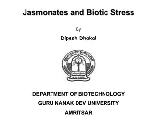 Jasmonates and Biotic Stress

               By

          Dipesh Dhakal




  DEPARTMENT OF BIOTECHNOLOGY
   GURU NANAK DEV UNIVERSITY
           AMRITSAR
 