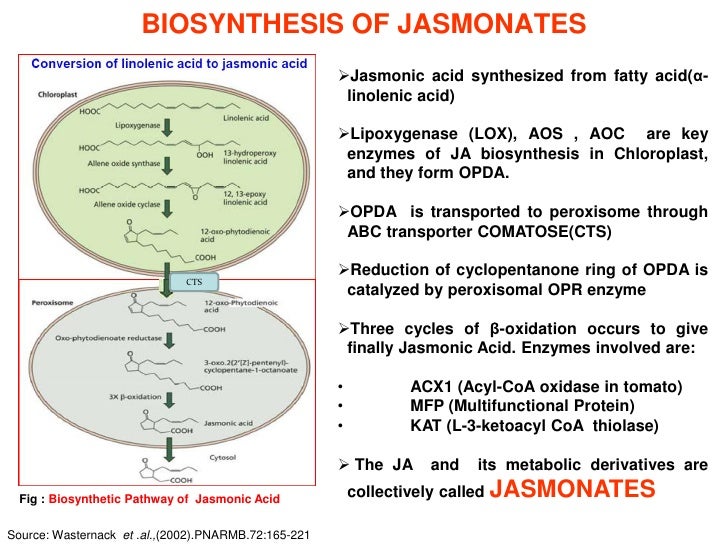 Jasmonates and Biotic Stress