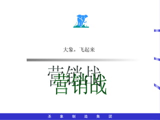 大象，飞起来 营销战 