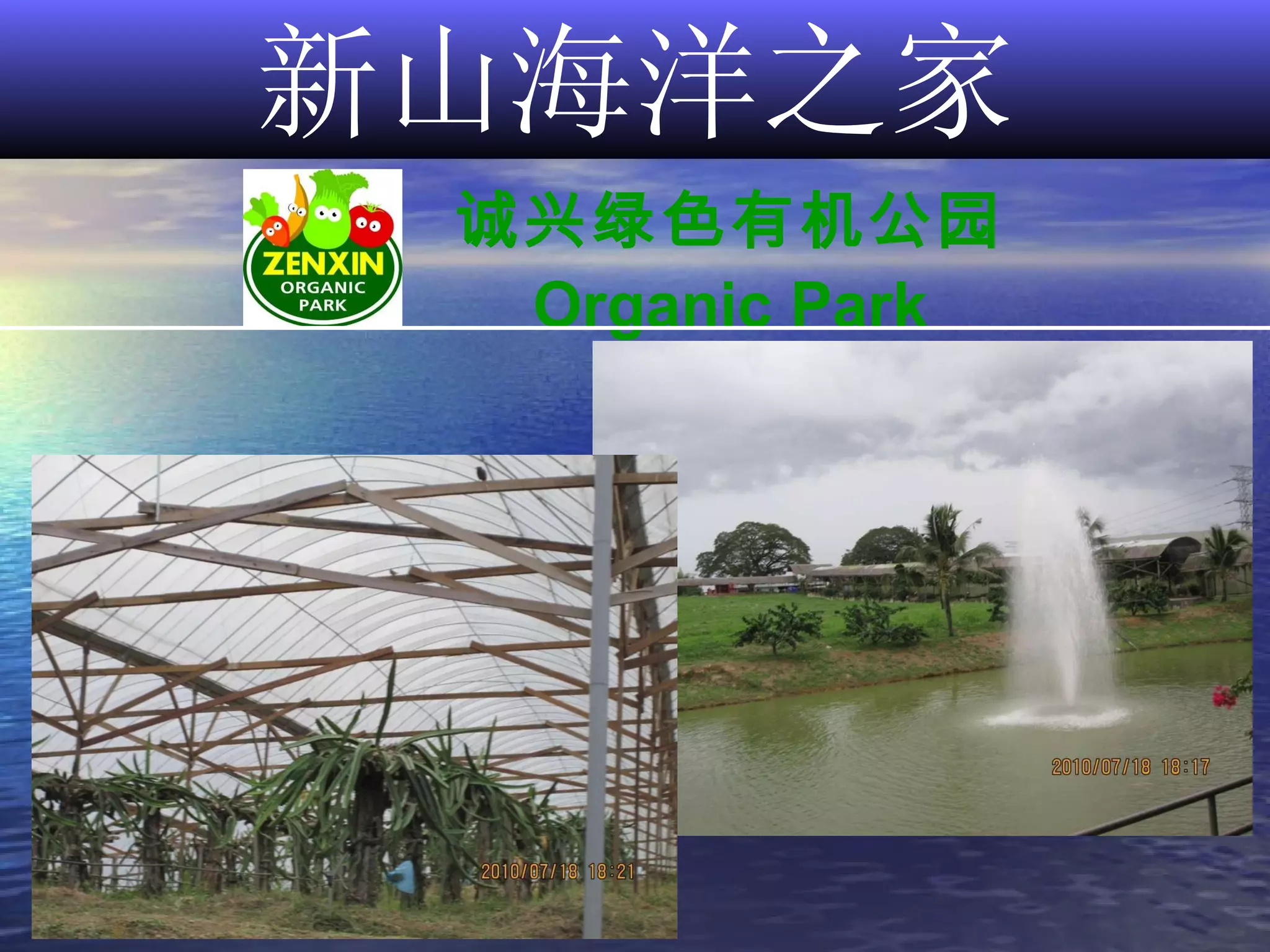 新山海洋之家 诚兴绿色有机公园 Organic Park 