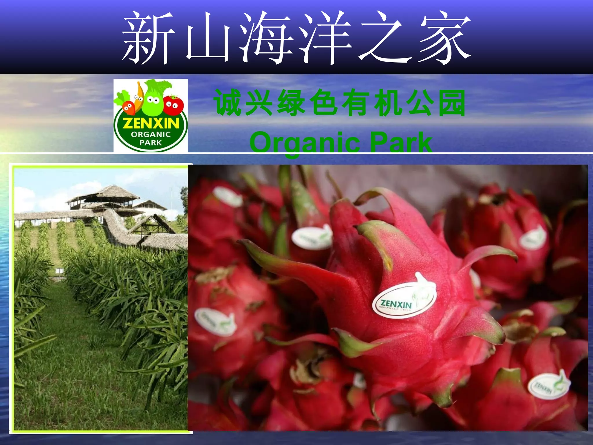 新山海洋之家 诚兴绿色有机公园 Organic Park 