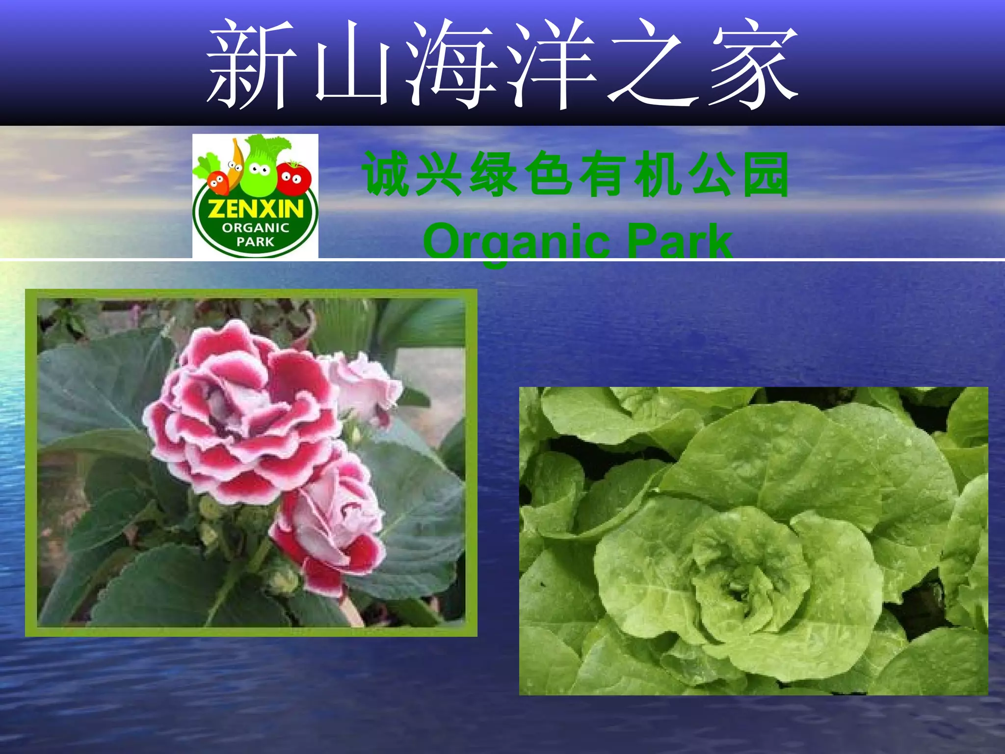 新山海洋之家 诚兴绿色有机公园 Organic Park 