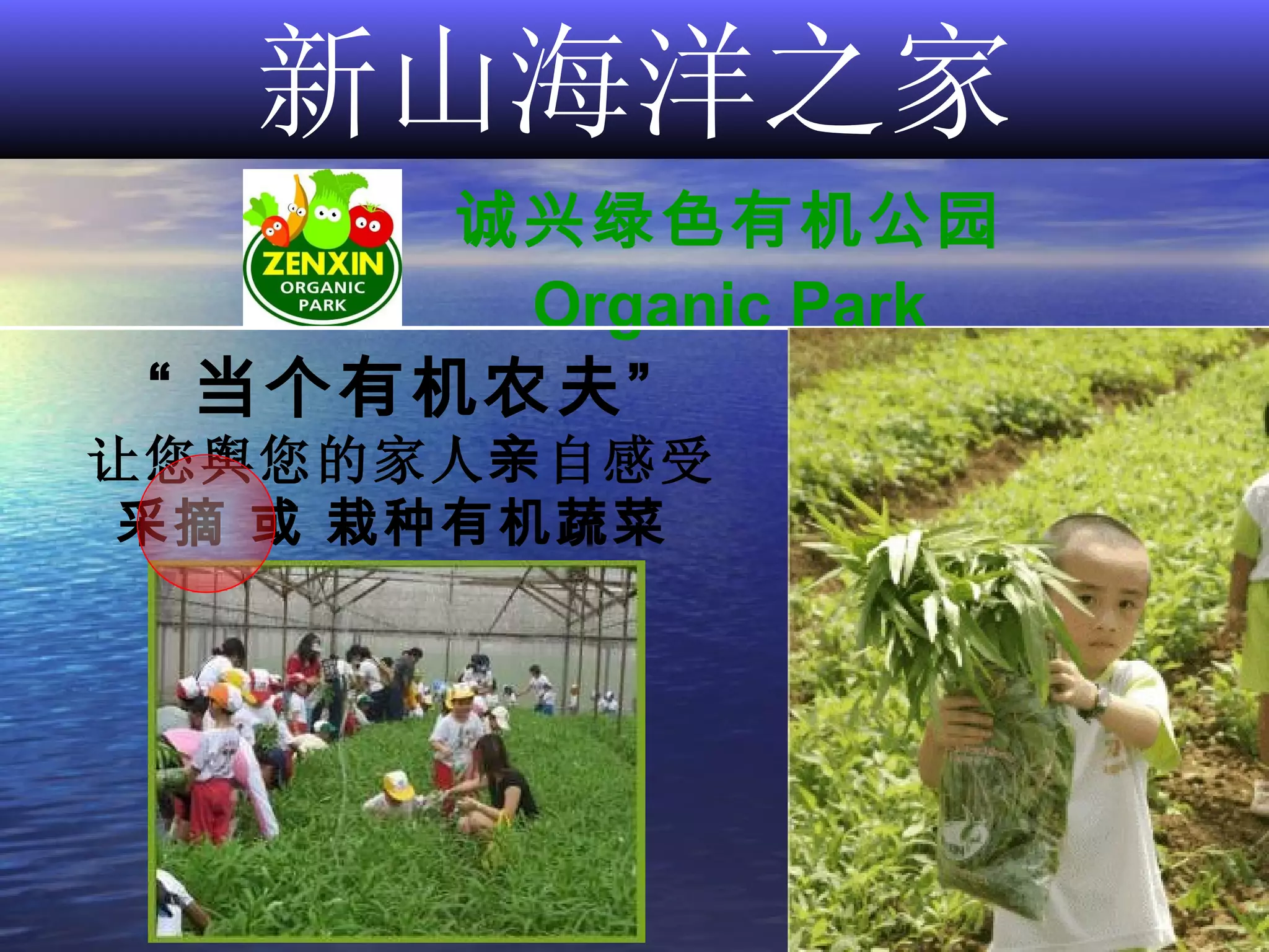 新山海洋之家 诚兴绿色有机公园 Organic Park “ 当个有机农夫” 让您舆您的家人 亲 自感受 采摘   或   栽种有机蔬菜  