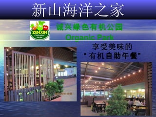 新山海洋之家 诚兴绿色有机公园 Organic Park 享受美味的 “ 有机 自助午餐” 