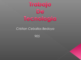 Cristian Ceballos Bedoya
905
 