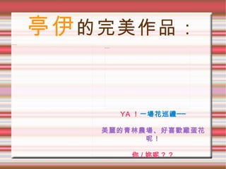 亭伊 的完美作品： YA ！ 一場花巡禮── 美麗的青林農場、好喜歡雞蛋花呢！ 你 / 妳呢？？ 