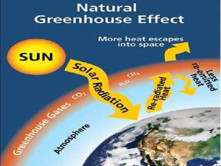 effects of global warming in hospitality industry Thesis on global warming v effects of global warming scientists use opposition to the treaty in the united states is spurred by the oil industry,. effects of global warming in hospitality industry Thesis on global warming v effects of global warming scientists use opposition to the treaty in the united states is spurred by the oil industry,.