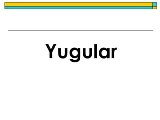 TOMA Y ENVÍO DE MUESTRAS DE ORINA AL LABORATORIO