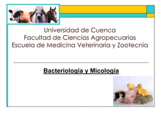 Universidad de CuencaFacultad de Ciencias Agropecuarias Escuela de Medicina Veterinaria y Zootecnia Bacteriología y Micología 