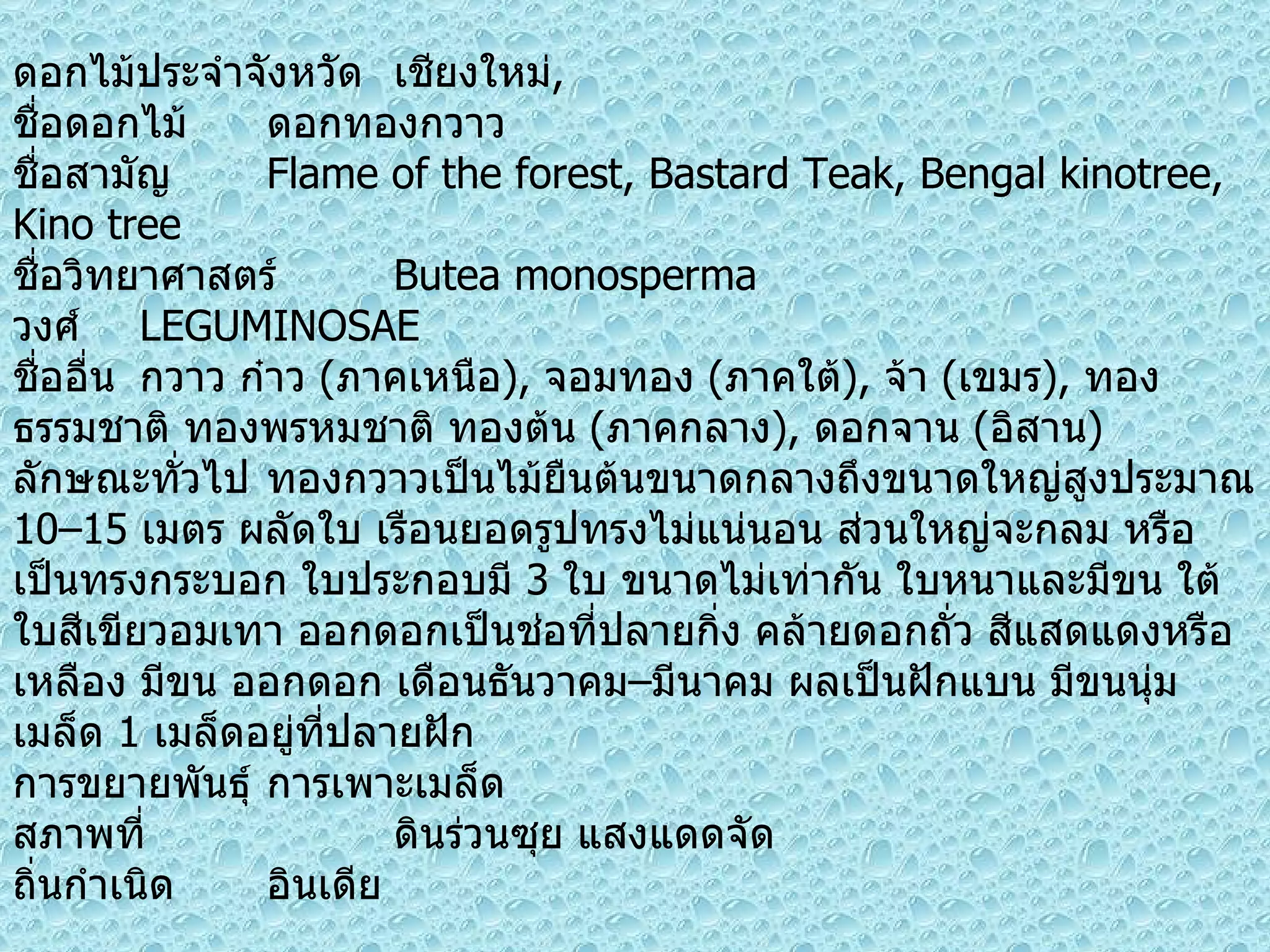 ดอกไม้ประจำจังหวัด เชียงใหม่ , ชื่อดอกไม้ ดอกทองกวาว ชื่อสามัญ  Flame of the forest, Bastard Teak, Bengal kinotree, Kino tree ชื่อวิทยาศาสตร์  Butea monosperma วงศ์  LEGUMINOSAE ชื่ออื่น กวาว ก๋าว  ( ภาคเหนือ ) ,  จอมทอง  ( ภาคใต้ ) ,  จ้า  ( เขมร ) ,  ทองธรรมชาติ ทองพรหมชาติ ทองต้น  ( ภาคกลาง ) ,  ดอกจาน  ( อิสาน ) ลักษณะทั่วไป ทองกวาวเป็นไม้ยืนต้นขนาดกลางถึงขนาดใหญ่สูงประมาณ  10–15  เมตร ผลัดใบ เรือนยอดรูปทรงไม่แน่นอน ส่วนใหญ่จะกลม หรือเป็นทรงกระบอก ใบประกอบมี  3  ใบ ขนาดไม่เท่ากัน ใบหนาและมีขน ใต้ใบสีเขียวอมเทา ออกดอกเป็นช่อที่ปลายกิ่ง คล้ายดอกถั่ว สีแสดแดงหรือเหลือง มีขน ออกดอก เดือนธันวาคม – มีนาคม ผลเป็นฝักแบน มีขนนุ่ม เมล็ด  1  เมล็ดอยู่ที่ปลายฝัก การขยายพันธุ์ การเพาะเมล็ด สภาพที่ ดินร่วนซุย แสงแดดจัด ถิ่นกำเนิด อินเดีย 