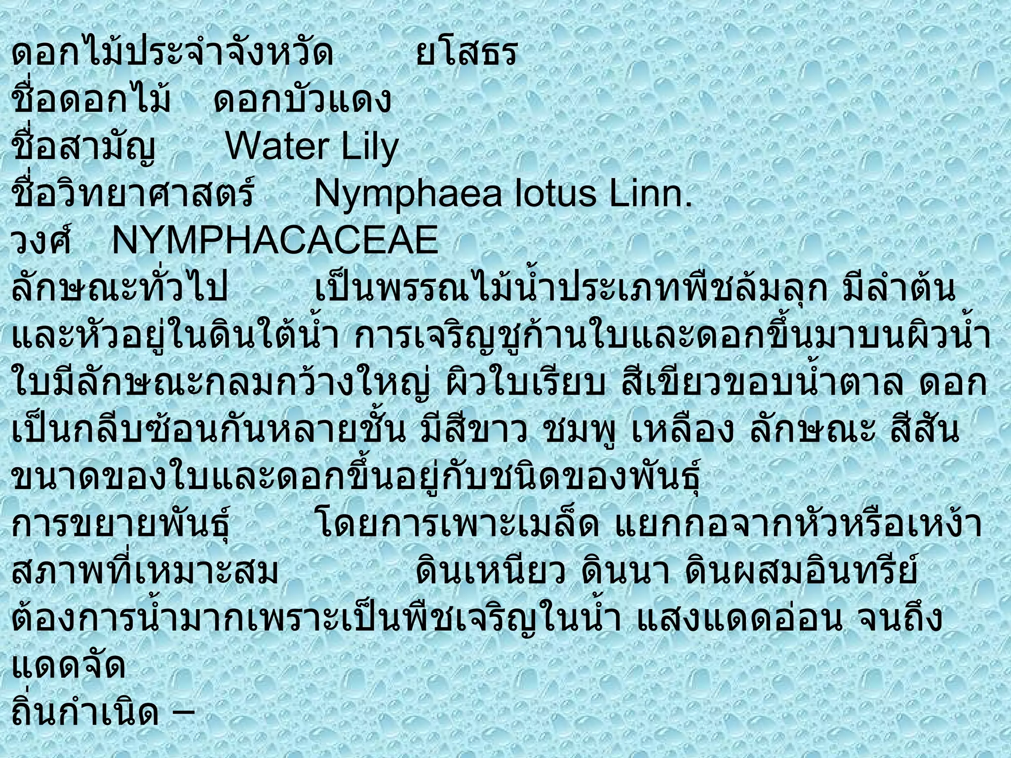 ดอกไม้ประจำจังหวัด ยโสธร ชื่อดอกไม้ ดอกบัวแดง ชื่อสามัญ   Water Lily ชื่อวิทยาศาสตร์  Nymphaea lotus Linn. วงศ์  NYMPHACACEAE ลักษณะทั่วไป เป็นพรรณไม้น้ำประเภทพืชล้มลุก มีลำต้นและหัวอยู่ในดินใต้น้ำ การเจริญชูก้านใบและดอกขึ้นมาบนผิวน้ำ ใบมีลักษณะกลมกว้างใหญ่ ผิวใบเรียบ สีเขียวขอบน้ำตาล ดอกเป็นกลีบซ้อนกันหลายชั้น มีสีขาว ชมพู เหลือง ลักษณะ สีสัน ขนาดของใบและดอกขึ้นอยู่กับชนิดของพันธุ์ การขยายพันธุ์ โดยการเพาะเมล็ด แยกกอจากหัวหรือเหง้า สภาพที่เหมาะสม ดินเหนียว ดินนา ดินผสมอินทรีย์ ต้องการน้ำมากเพราะเป็นพืชเจริญในน้ำ แสงแดดอ่อน จนถึง แดดจัด ถิ่นกำเนิด  – 