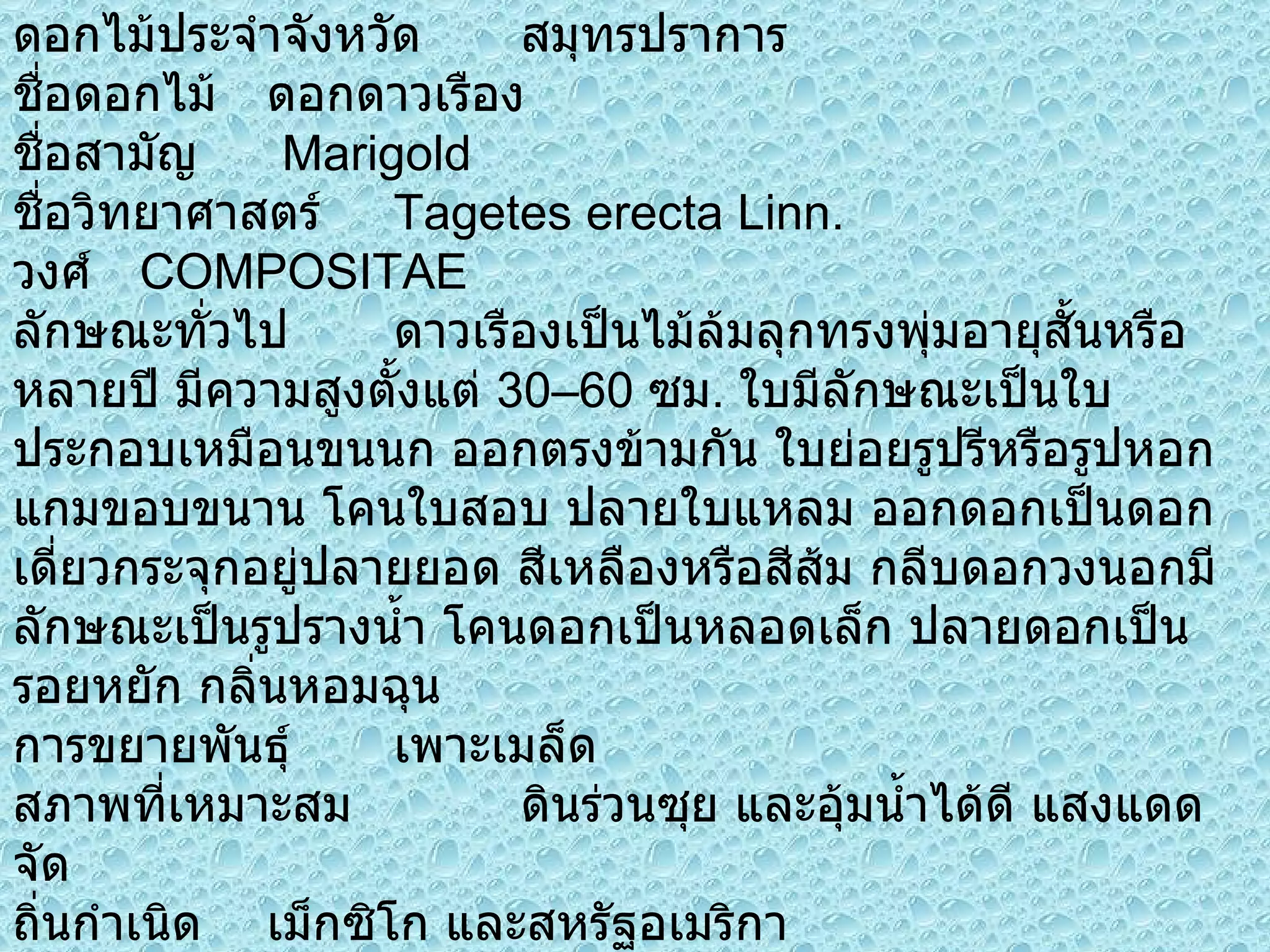 ดอกไม้ประจำจังหวัด สมุทรปราการ ชื่อดอกไม้ ดอกดาวเรือง ชื่อสามัญ   Marigold ชื่อวิทยาศาสตร์  Tagetes erecta Linn. วงศ์  COMPOSITAE ลักษณะทั่วไป ดาวเรืองเป็นไม้ล้มลุกทรงพุ่มอายุสั้นหรือหลายปี มีความสูงตั้งแต่  30–60  ซม .  ใบมีลักษณะเป็นใบประกอบเหมือนขนนก ออกตรงข้ามกัน ใบย่อยรูปรีหรือรูปหอกแกมขอบขนาน โคนใบสอบ ปลายใบแหลม ออกดอกเป็นดอกเดี่ยวกระจุกอยู่ปลายยอด สีเหลืองหรือสีส้ม กลีบดอกวงนอกมีลักษณะเป็นรูปรางน้ำ โคนดอกเป็นหลอดเล็ก ปลายดอกเป็นรอยหยัก กลิ่นหอมฉุน การขยายพันธุ์ เพาะเมล็ด สภาพที่เหมาะสม ดินร่วนซุย และอุ้มน้ำได้ดี แสงแดดจัด ถิ่นกำเนิด เม็กซิโก และสหรัฐอเมริกา 