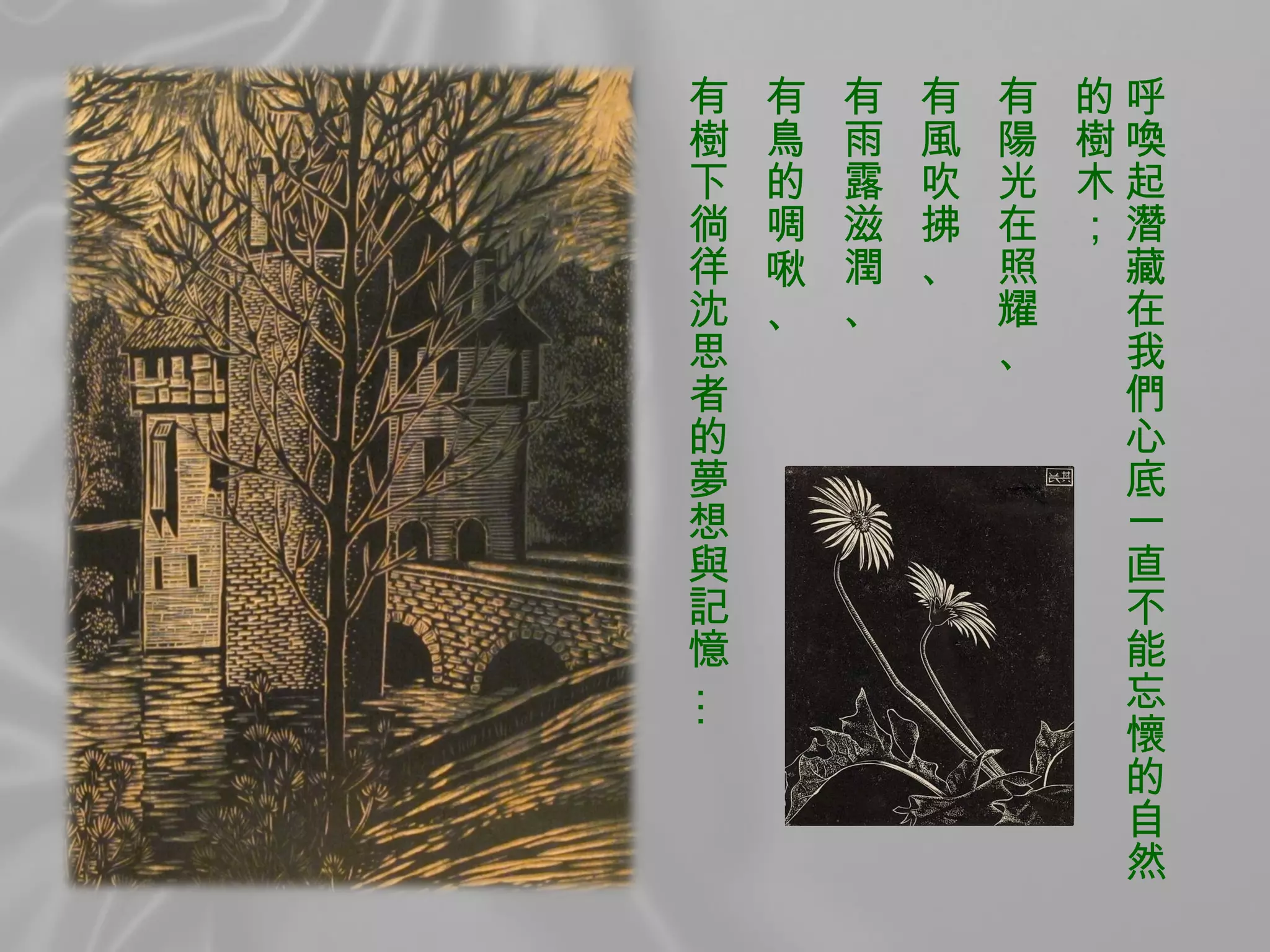 呼喚起潛藏在我們心底一直不能忘懷的自然的樹木； 有陽光在照耀、 有風吹拂、 有雨露滋潤、 有鳥的啁啾、 有樹下徜徉沈思者的夢想與記憶  … 