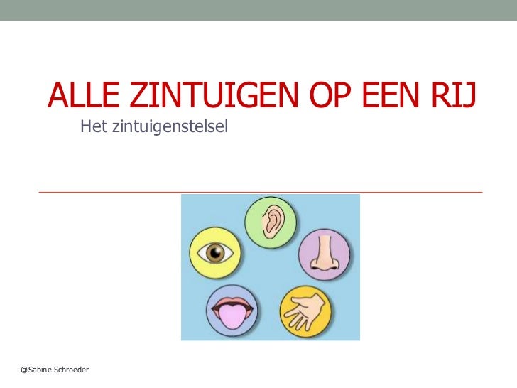 zintuigen ppt