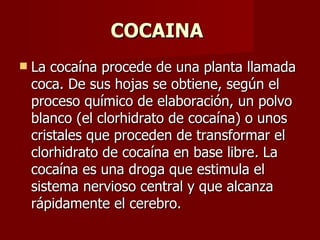 COCAINA   La cocaína procede de una planta llamada coca. De sus hojas se obtiene, según el proceso químico de elaboración, un polvo blanco (el clorhidrato de cocaína) o unos cristales que proceden de transformar el clorhidrato de cocaína en base libre .  La cocaína es una droga que estimula el sistema nervioso central y que alcanza rápidamente el cerebro. 