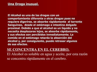 Una Droga inusual. El Alcohol es una de las drogas con un comportamiento diferente a otras drogas pues no requiere digerirse, se absorbe rápidamente  al torrente Sanguíneo,  desde el estómago e intestino delgado proximal. Debido a que el alcohol es un líquido y no necesita desplazarse lejos, se absorbe rápidamente, y sus efectos son percibidos inmediatamente. La comida en el estómago retarda la absorción del alcohol y, por consiguiente, puede retrasar algunos de sus efectos.  SE CONCENTRA EN EL CEREBRO. El Alcohol es soluble en agua y aceite, por esta razón se concentra rápidamente en el cerebro. 