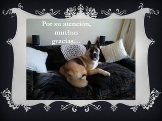 Por su atención,
    muchas
   gracias…
 