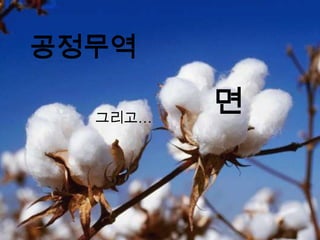 공정무역

  그리고…
         면
 