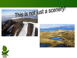 This is not just a scenery! 