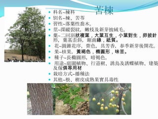    科名~楝科   苦楝
   別名~楝、苦苓
   習性~落葉性喬木。
   莖~深縱裂紋，嫩枝及新芽披絨毛。
   葉~二回羽狀複葉，大葉互生，小葉對生，卵披針
    形，葉基歪斜，鋸齒緣，紙質。
   花~圓錐花序，紫色，具芳香，春季新芽後開花。
   果~核果，黃褐色，橢圓形，味苦。
   種子~長橢圓形，暗褐色。
   用途~庭園植物、行道樹、誘鳥及誘蝶植物、建築
    及傢俱等用材
   栽培方式~播種法
   其他~根、樹皮成熟果實具毒性
 