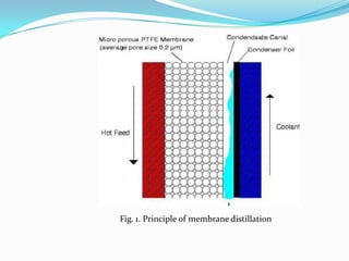Fig. 1. Principle of membrane distillation
 