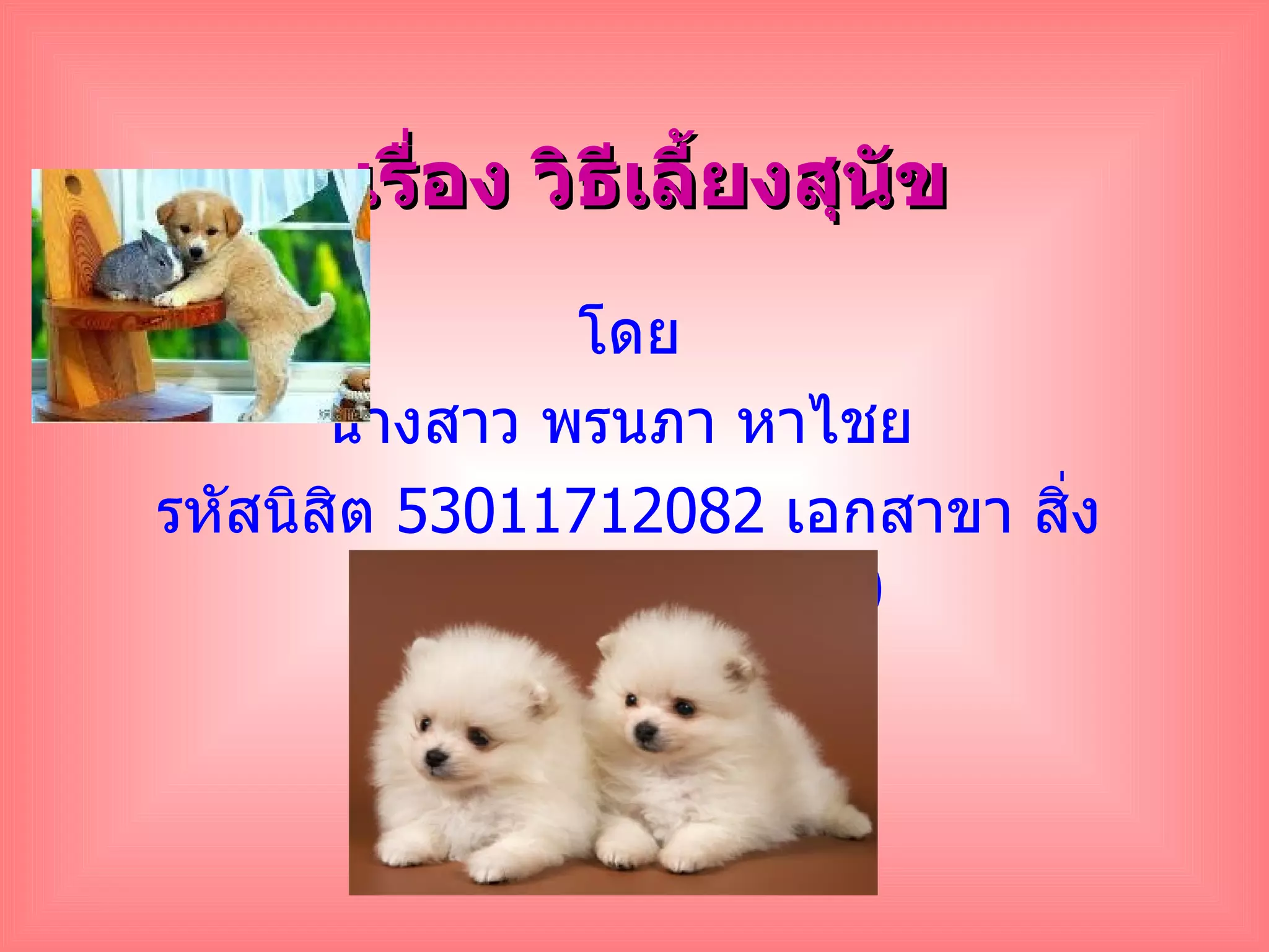 Ppt+ชื่อ+.. | PPT