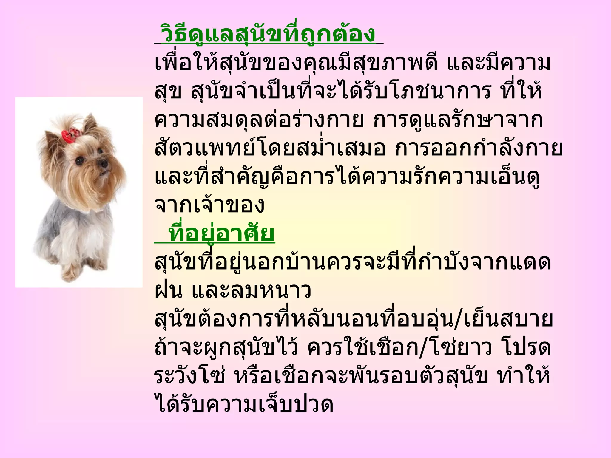 Ppt+ชื่อ+.. | PPT