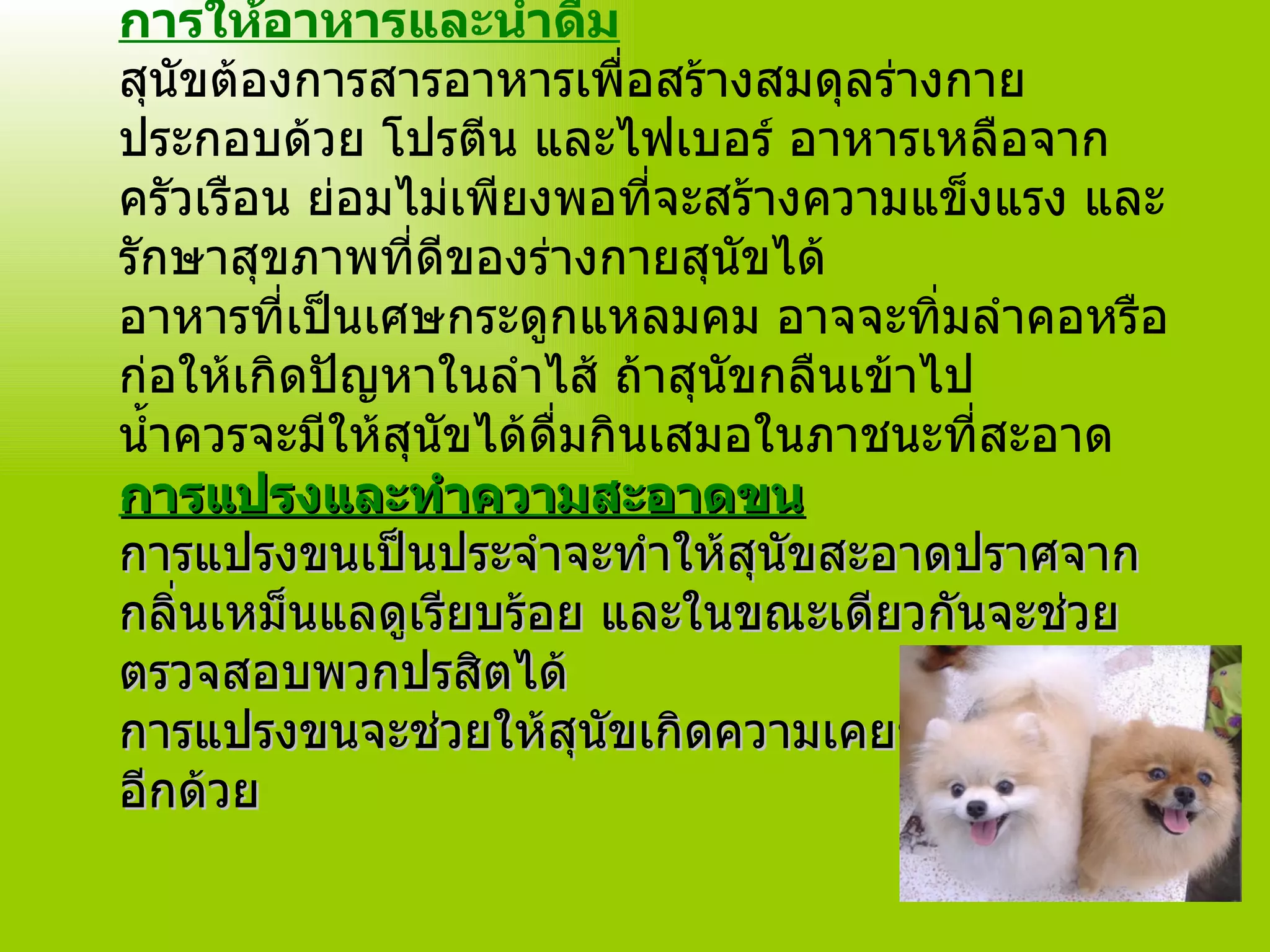 Ppt+ชื่อ+.. | PPT