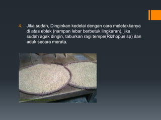4. Jika sudah, Dinginkan kedelai dengan cara meletakkanya
   di atas eblek (nampan lebar berbetuk lingkaran), jika
   sudah agak dingin, taburkan ragi tempe(Rizhopus sp) dan
   aduk secara merata.
 