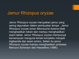 Jamur Rhizopus oryzae

Jamur Rhizopus oryzae merupakan jamur yang
sering digunakan dalam pembuatan tempe . Jamur
Rhizopus oryzae aman dikonsumsi karena tidak
menghasilkan toksin dan mampu menghasilkan
asam laktat. Jamur Rhizopus oryzae mempunyai
kemampuan mengurai lemak kompleks menjadi
trigliserida dan asam amino. Selain itu jamur
Rhizopus oryzae mampu menghasilkan protease.
Menurut Sorenson dan Hesseltine (1986).
 
