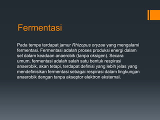 Fermentasi
Pada tempe terdapat jamur Rhizopus oryzae yang mengalami
fermentasi. Fermentasi adalah proses produksi energi dalam
sel dalam keadaan anaerobik (tanpa oksigen). Secara
umum, fermentasi adalah salah satu bentuk respirasi
anaerobik, akan tetapi, terdapat definisi yang lebih jelas yang
mendefinisikan fermentasi sebagai respirasi dalam lingkungan
anaerobik dengan tanpa akseptor elektron eksternal.
 