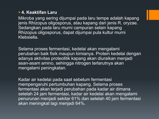 4. Keaktifan Laru
Mikroba yang sering dijumpai pada laru tempe adalah kapang
jenis Rhizopus oligosporus, atau kapang dari jenis R. oryzae.
Sedangkan pada laru murni campuran selain kapang
Rhizopus oligosporus, dapat dijumpai pula kultur murni
Klebsiella.

Selama proses fermentasi, kedelai akan mengalami
perubahan baik fisik maupun kimianya. Protein kedelai dengan
adanya aktivitas proteolitik kapang akan diuraikan menjadi
asan-asam amino, sehingga nitrogen terlarutnya akan
mengalami peningkatan.

Kadar air kedelai pada saat sebelum fermentasi
mempengaruhi pertumbuhan kapang. Selama proses
fermentasi akan terjadi perubahan pada kadar air dimana
setelah 24 jam fermentasi, kadar air kedelai akan mengalami
penurunan menjadi sekitar 61% dan setelah 40 jam fermentasi
akan meningkat lagi menjadi 64%.
 