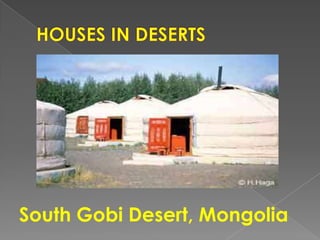 South Gobi Desert, Mongolia
 