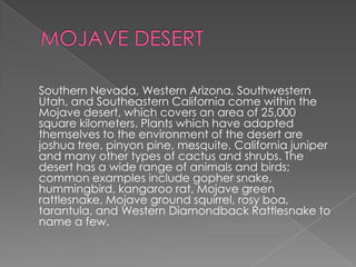 Southern Nevada, Western Arizona, Southwestern
Utah, and Southeastern California come within the
Mojave desert, which covers an area of 25,000
square kilometers. Plants which have adapted
themselves to the environment of the desert are
joshua tree, pinyon pine, mesquite, California juniper
and many other types of cactus and shrubs. The
desert has a wide range of animals and birds;
common examples include gopher snake,
hummingbird, kangaroo rat, Mojave green
rattlesnake, Mojave ground squirrel, rosy boa,
tarantula, and Western Diamondback Rattlesnake to
name a few.
 