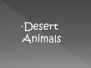 Desert
 Animals
 