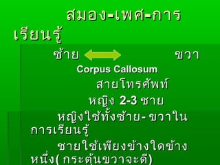 สมอง - เพศ - การ
เรีย นรู้
       ซ้า ย                     ขวา
             Corpus Callosum
                  สายโทรศัพ ท์
               หญิง 2-3 ชาย
         หญิง ใช้ท ั้ง ซ้า ย - ขวาใน
   การเรีย นรู้
         ชายใช้เ พีย งข้า งใดข้า ง
   หนึ่ง ( กระตุน ขวาจะดี)
                ้
 