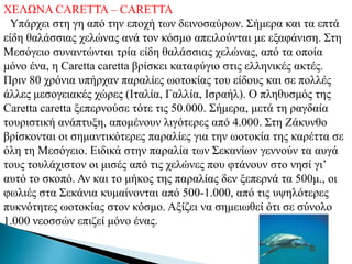 ΥΔΛΩΝΑ CARETTA – CARETTA
 Τπάξρεη ζηε γε από ηελ επνρή ησλ δεηλνζαύξσλ. ΢ήκεξα θαη ηα επηά
είδε ζαιάζζηαο ρειώλαο αλά ηνλ θόζκν απεηινύληαη κε εμαθάληζε. ΢ηε
Μεζόγεην ζπλαληώληαη ηξία είδε ζαιάζζηαο ρειώλαο, από ηα νπνία
κόλν έλα, ε Caretta caretta βξίζθεη θαηαθύγην ζηηο ειιεληθέο αθηέο.
Πξηλ 80 ρξόληα ππήξραλ παξαιίεο σνηνθίαο ηνπ είδνπο θαη ζε πνιιέο
άιιεο κεζνγεηαθέο ρώξεο (Ηηαιία, Γαιιία, Ηζξαήι). Ο πιεζπζκόο ηεο
Caretta caretta μεπεξλνύζε ηόηε ηηο 50.000. ΢ήκεξα, κεηά ηε ξαγδαία
ηνπξηζηηθή αλάπηπμε, απνκέλνπλ ιηγόηεξεο από 4.000. ΢ηε Εάθπλζν
βξίζθνληαη νη ζεκαληηθόηεξεο παξαιίεο γηα ηελ σνηνθία ηεο θαξέηηα ζε
όιε ηε Μεζόγεην. Δηδηθά ζηελ παξαιία ησλ ΢εθαλίσλ γελλνύλ ηα απγά
ηνπο ηνπιάρηζηνλ νη κηζέο από ηηο ρειώλεο πνπ θηάλνπλ ζην λεζί γη’
απηό ην ζθνπό. Αλ θαη ην κήθνο ηεο παξαιίαο δελ μεπεξλά ηα 500κ., νη
θσιηέο ζηα ΢εθάληα θπκαίλνληαη από 500-1.000, από ηηο πςειόηεξεο
ππθλόηεηεο σνηνθίαο ζηνλ θόζκν. Αμίδεη λα ζεκεησζεί όηη ζε ζύλνιν
1.000 λενζζώλ επηδεί κόλν έλαο.
 